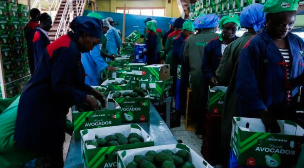 Screenshot 2023-02-04 215219