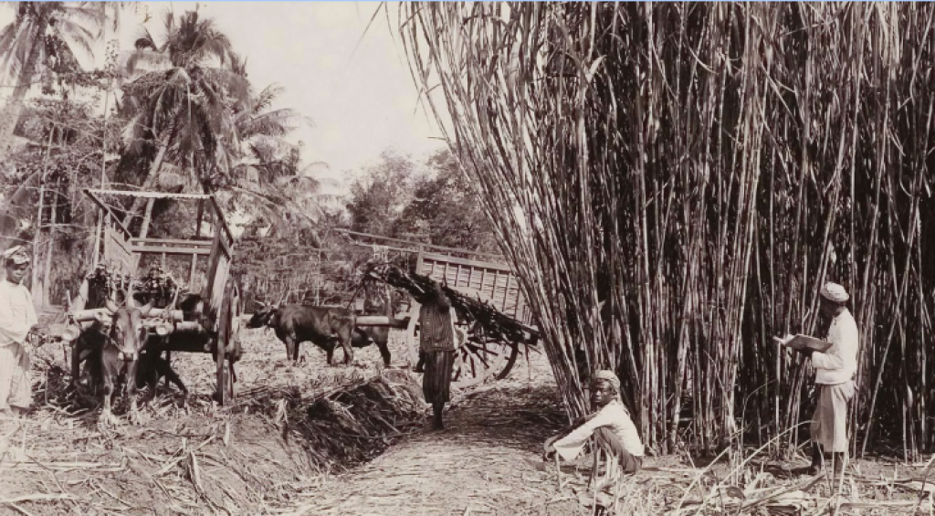 Screenshot 2023-02-09 213452