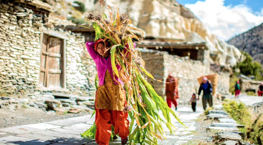 Screenshot 2023-02-09 232018