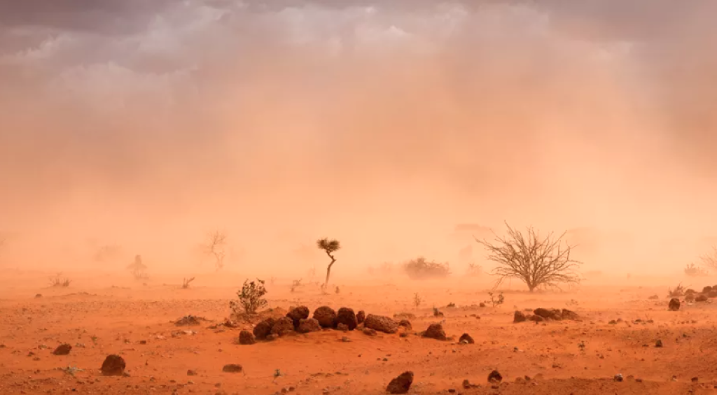 Screenshot 2023-05-31 001013