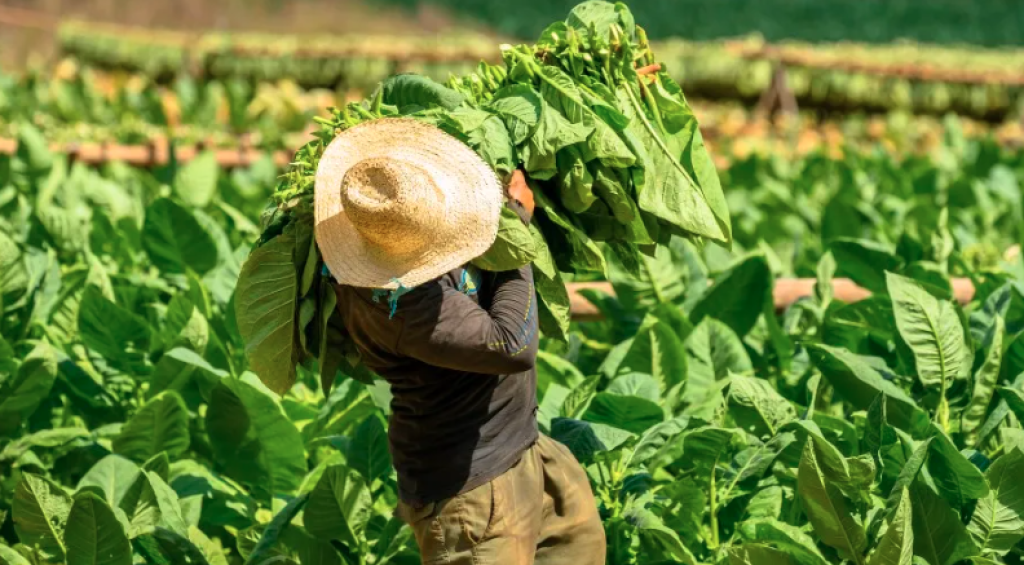 Screenshot 2023-05-31 001235