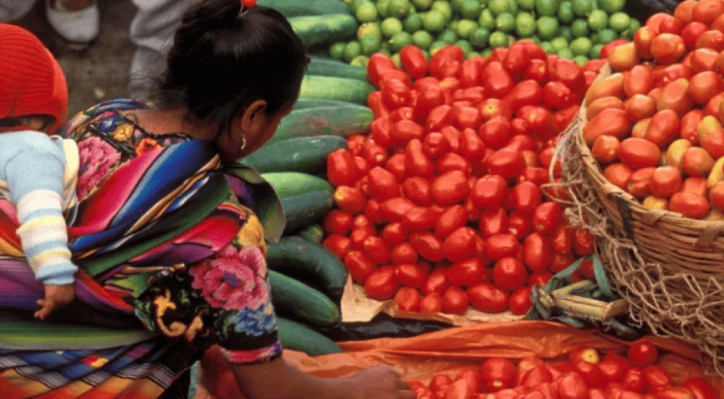 Screenshot-2023-07-24-221351