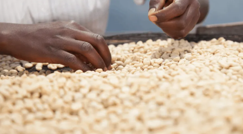 Screenshot 2024-01-30 131507