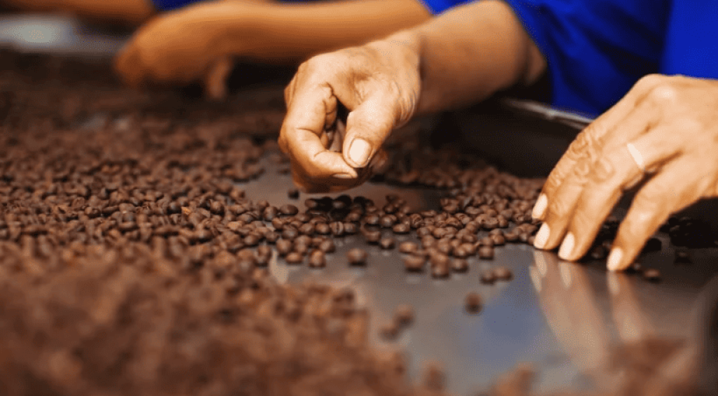 Screenshot-2024-03-12-121235