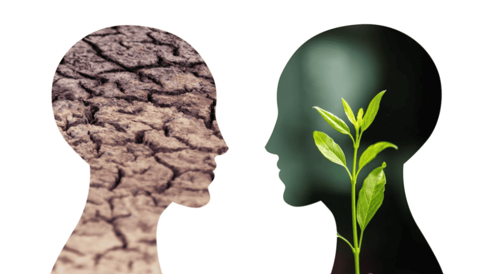 Screenshot-2024-04-03-174141-1