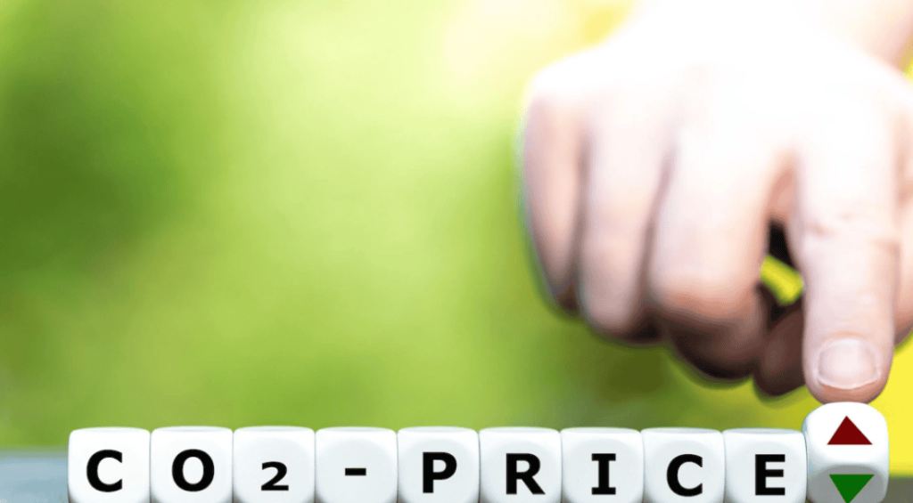 Screenshot-2024-07-15-100023