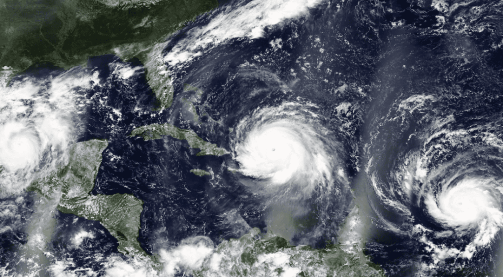 Screenshot-2024-08-12-111810