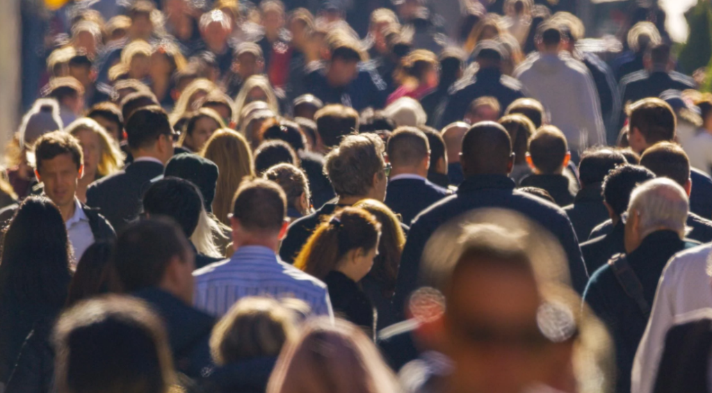 Screenshot 2024-08-12 120730