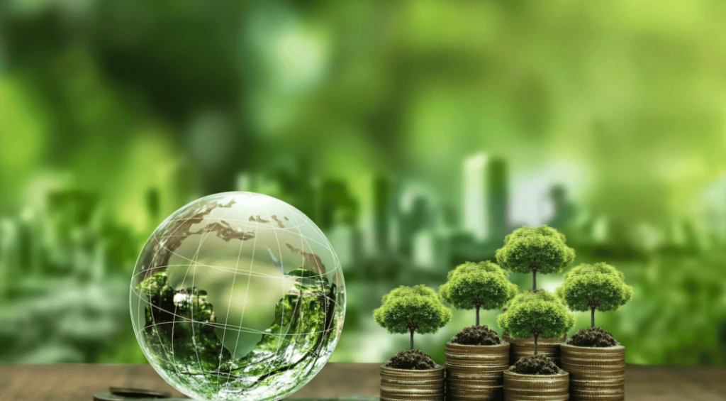 Screenshot 2024-10-03 102801