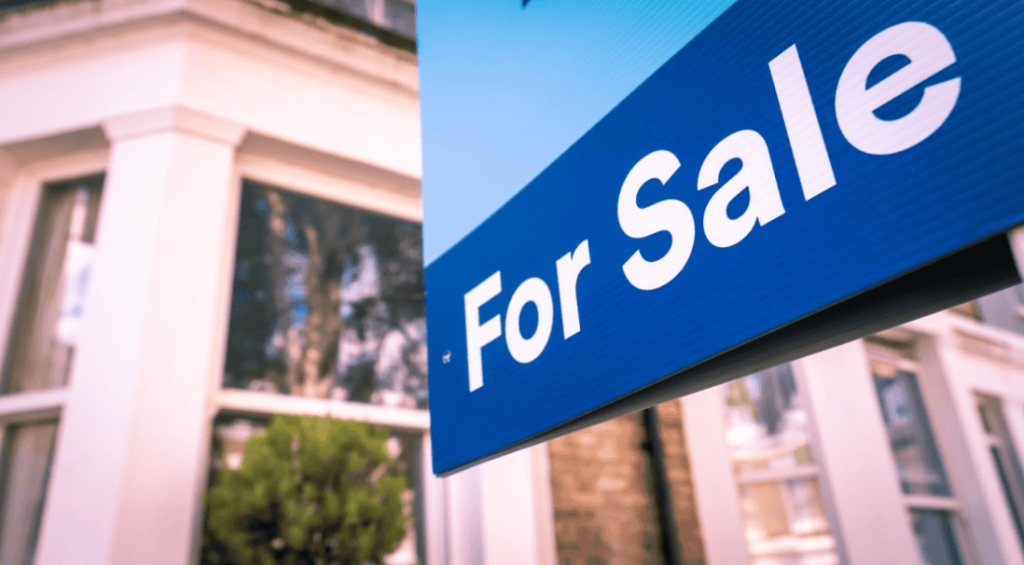 Screenshot 2024-10-21 134154