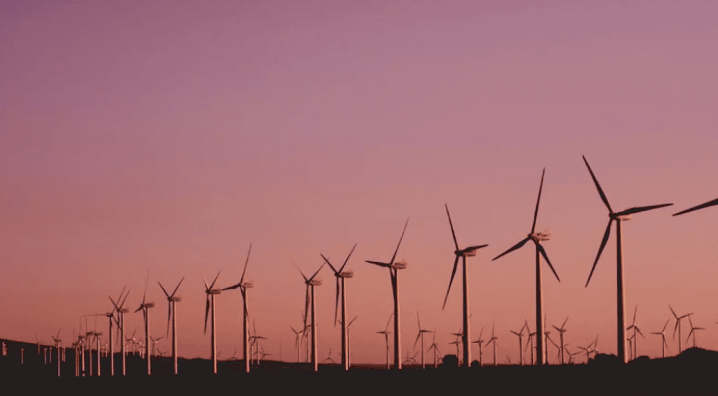 Screenshot 2024-10-23 103459