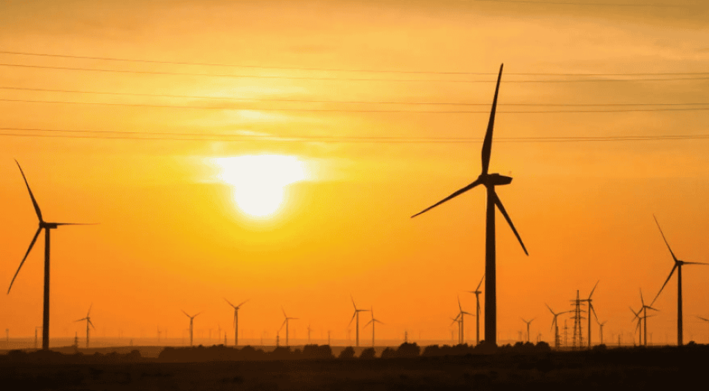 Screenshot 2024-10-23 103525