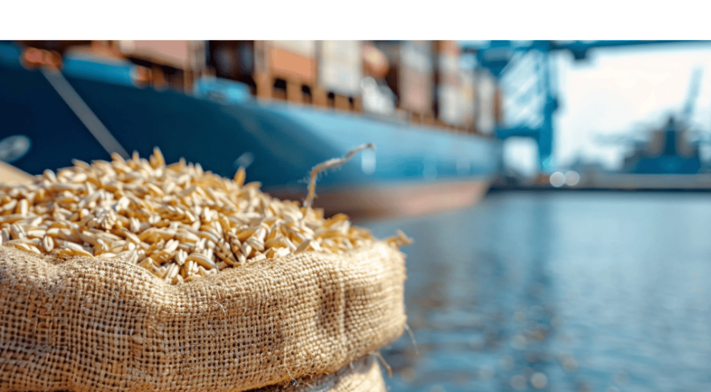 Screenshot 2024-10-24 150558