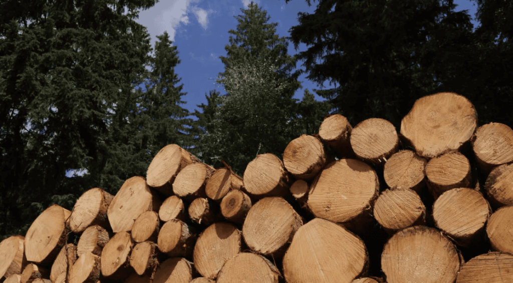 Screenshot 2024-11-19 160210