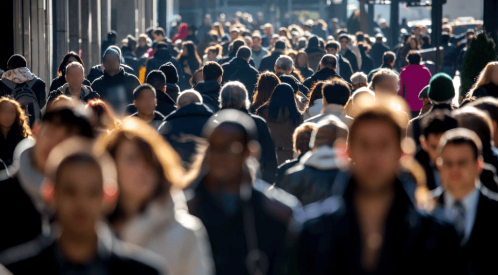 Screenshot 2024-11-21 114546