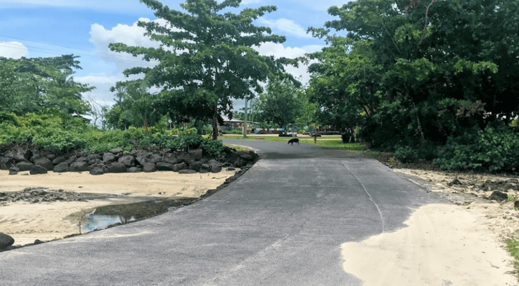 Screenshot 2024-12-14 204922