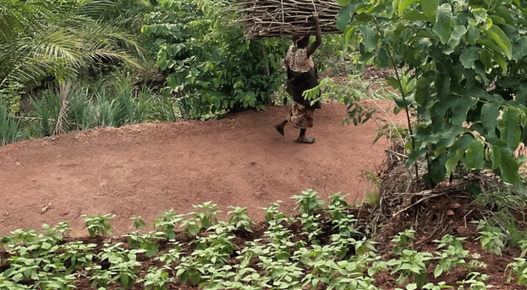 Screenshot 2024-12-14 205724