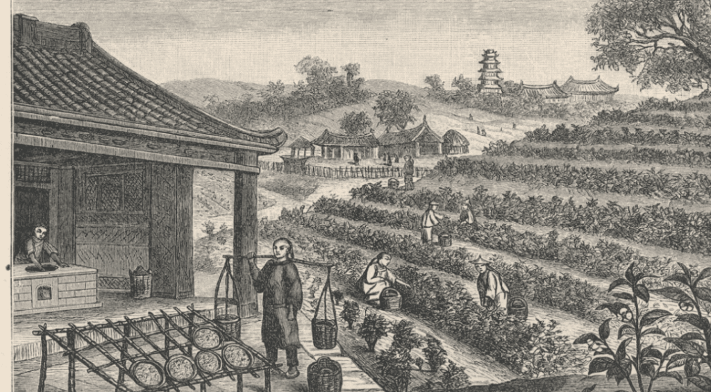 Screenshot 2024-12-17 115441