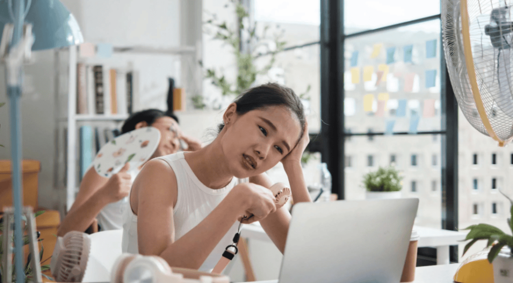 Screenshot 2024-12-28 095806