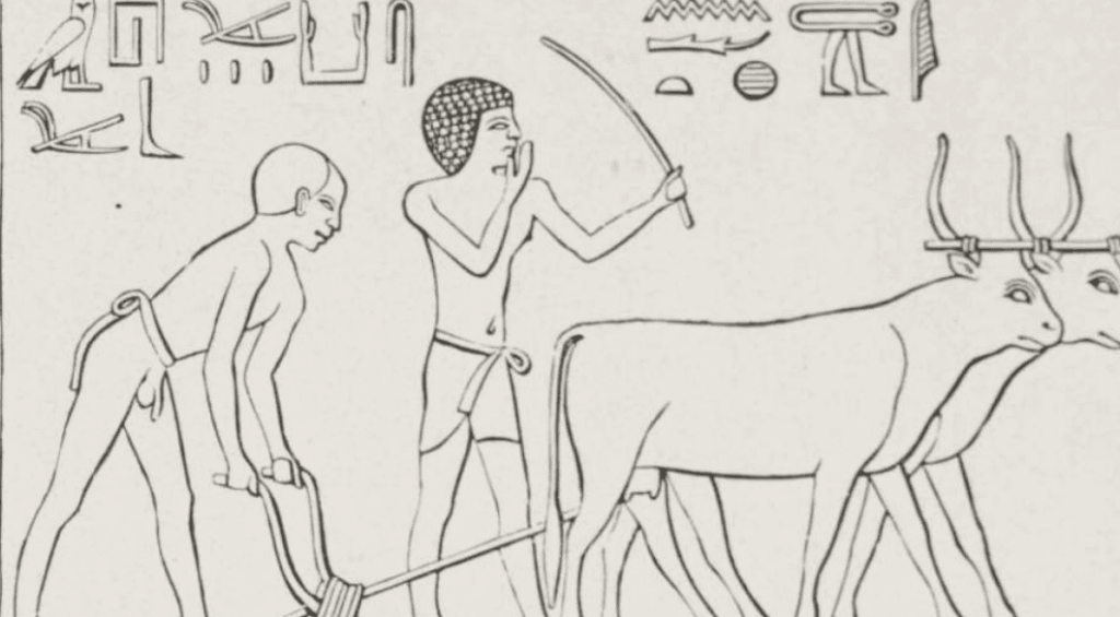 Screenshot 2025-01-06 131949