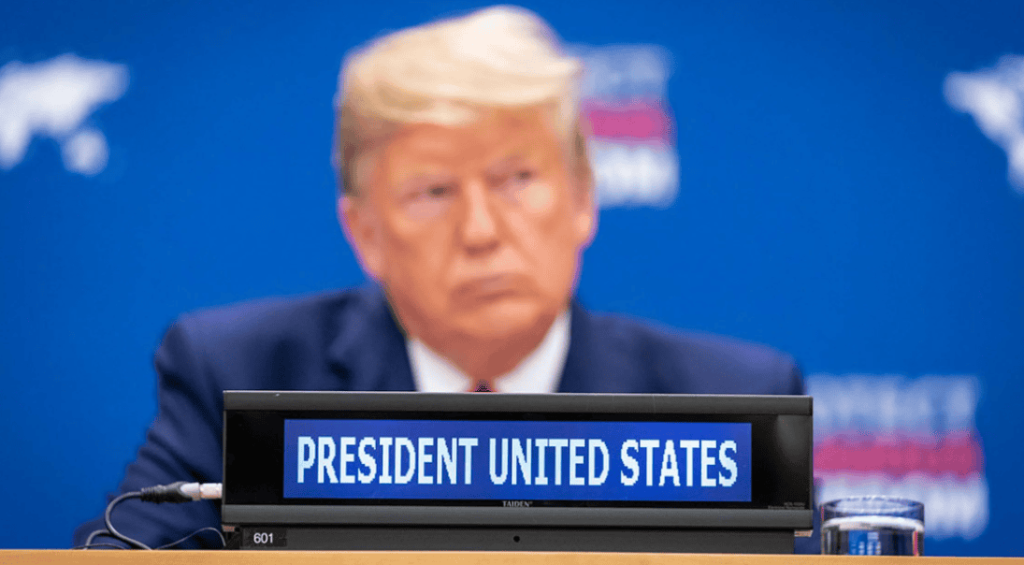 Screenshot 2025-01-13 220018