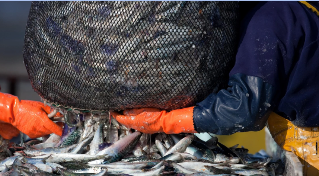 Screenshot 2025-02-08 152121