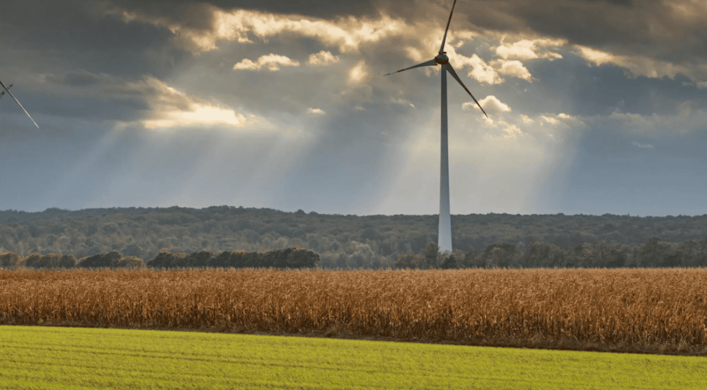 Screenshot 2025-02-27 131929