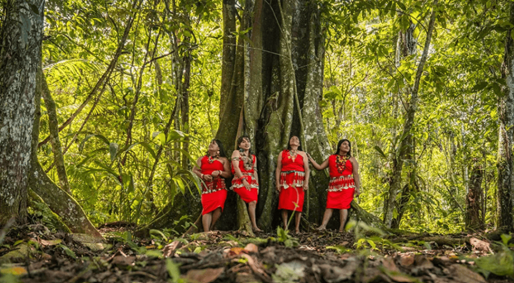 Screenshot 2025-05-07 131016