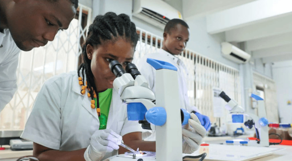 Screenshot 2025-05-08 115807