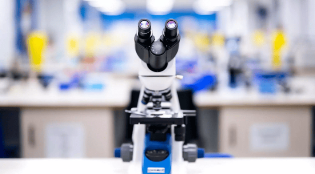 Screenshot 2025-05-14 220127