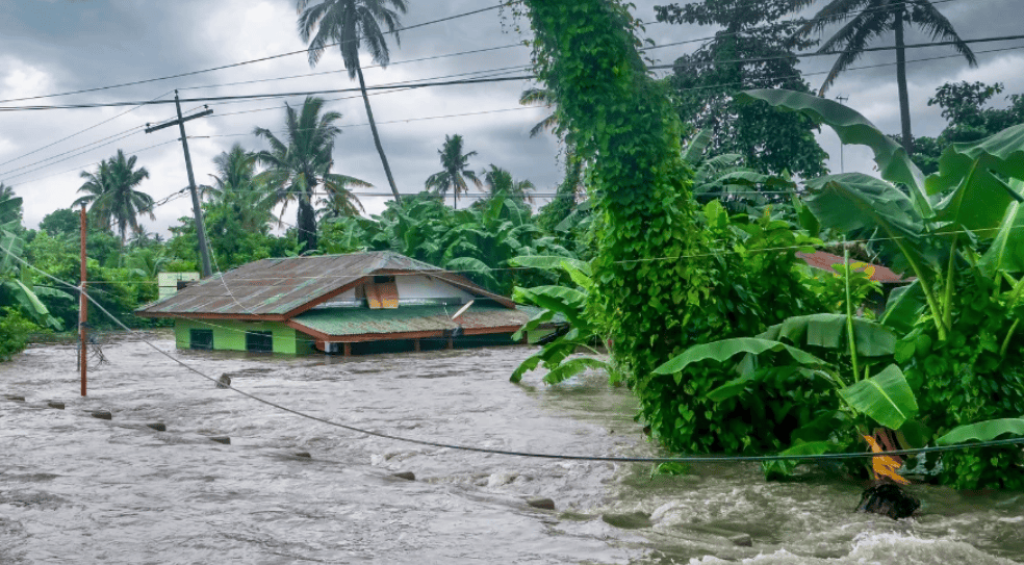 Screenshot 2025-05-24 001212