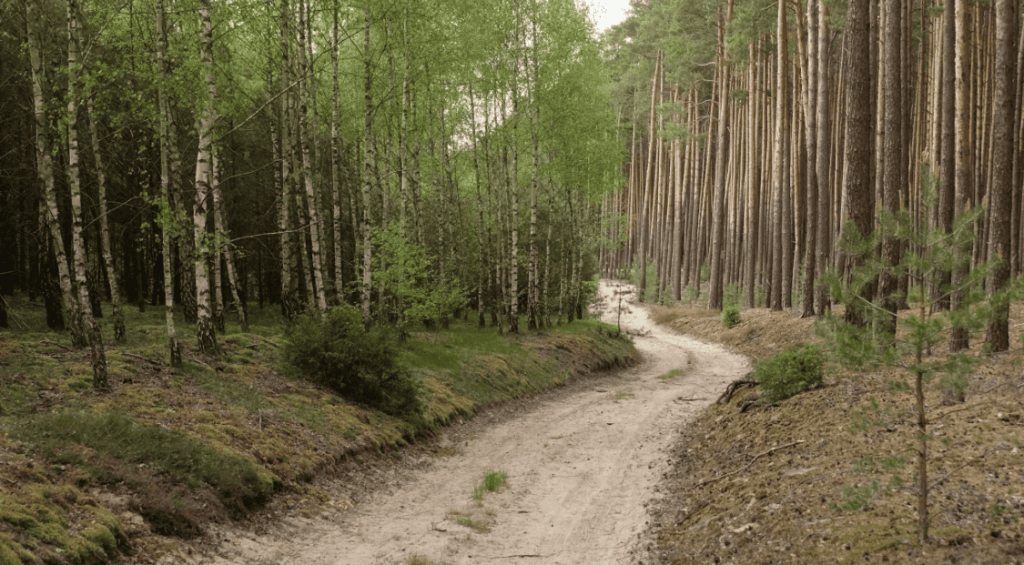 Screenshot 2025-06-04 155625 (1)