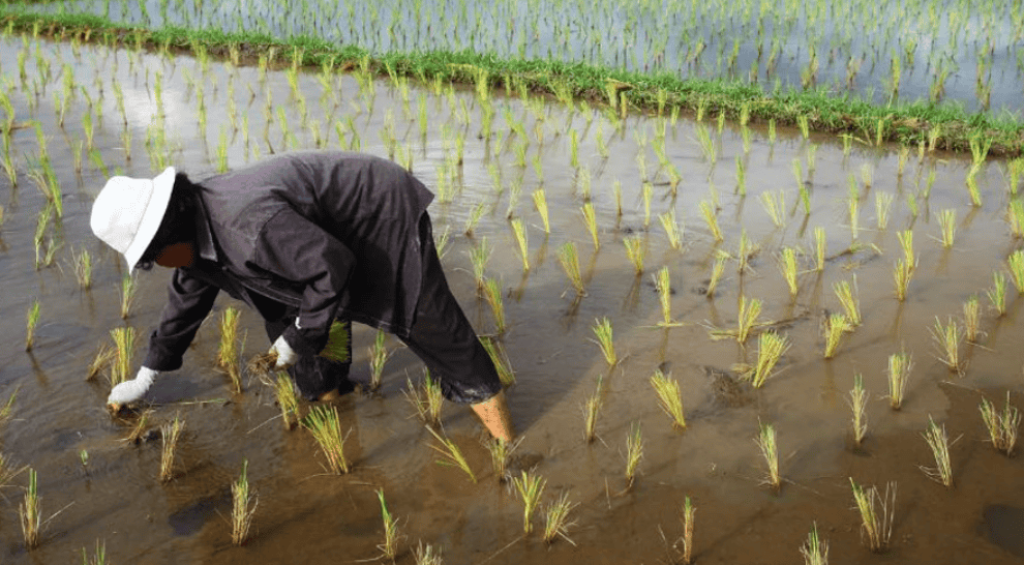 Screenshot 2025-06-11 000726