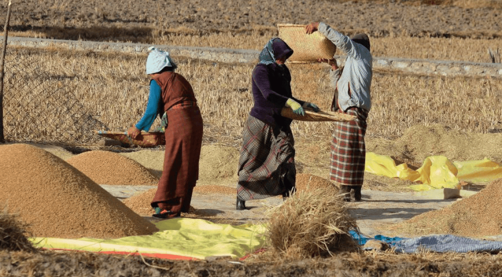 Screenshot 2025-06-23 122211