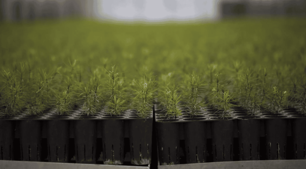 Screenshot 2025-07-08 214654