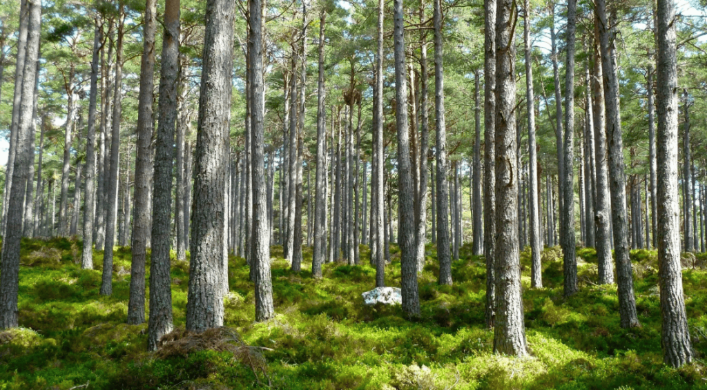 Screenshot 2025-07-09 151808