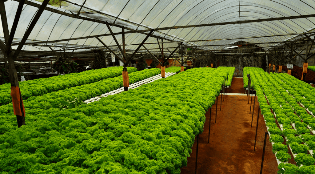 Screenshot 2025-07-14 231326