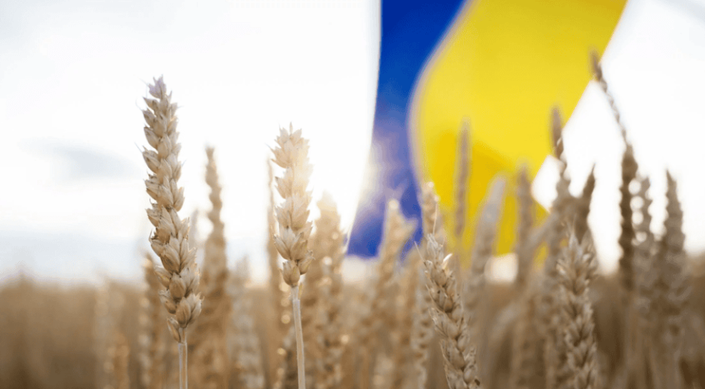 Screenshot 2025-08-25 235300