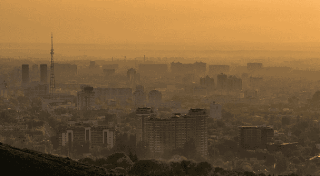 Screenshot 2025-09-08 222817 (1)