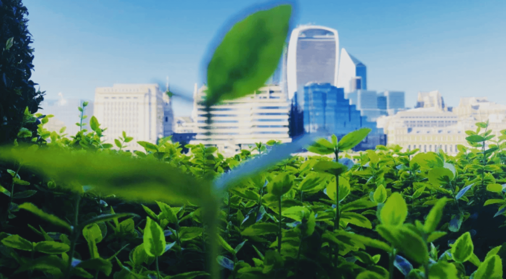 Screenshot 2025-10-08 202216