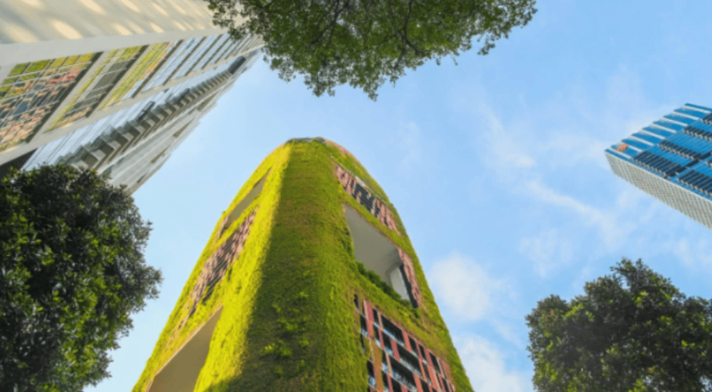 Screenshot-2025-10-24-133457