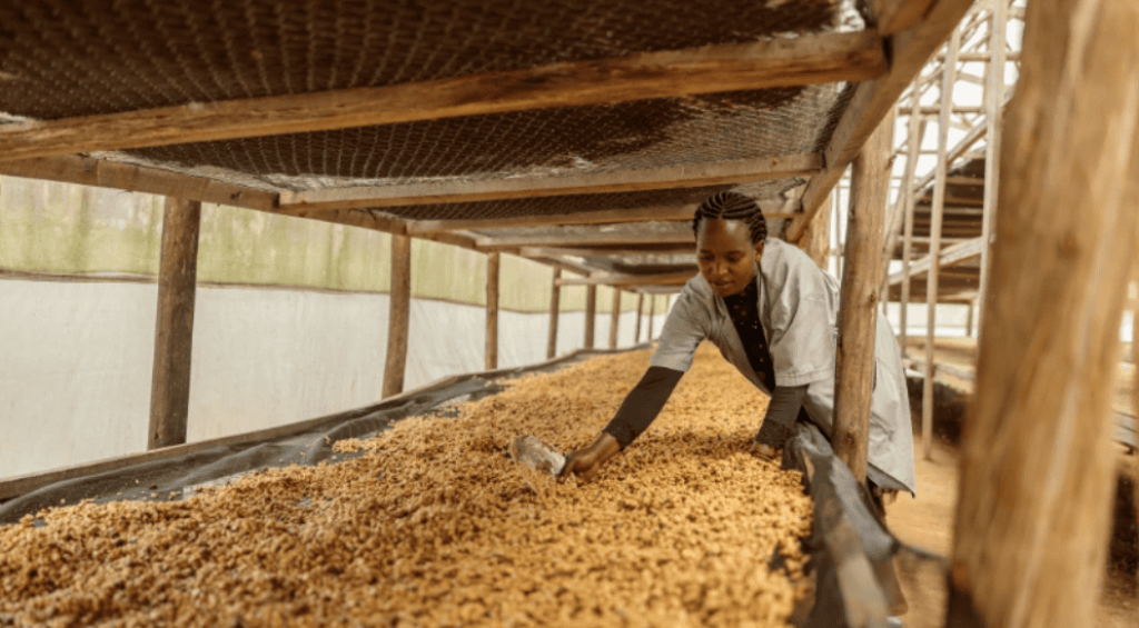 Screenshot-2025-10-24-134016