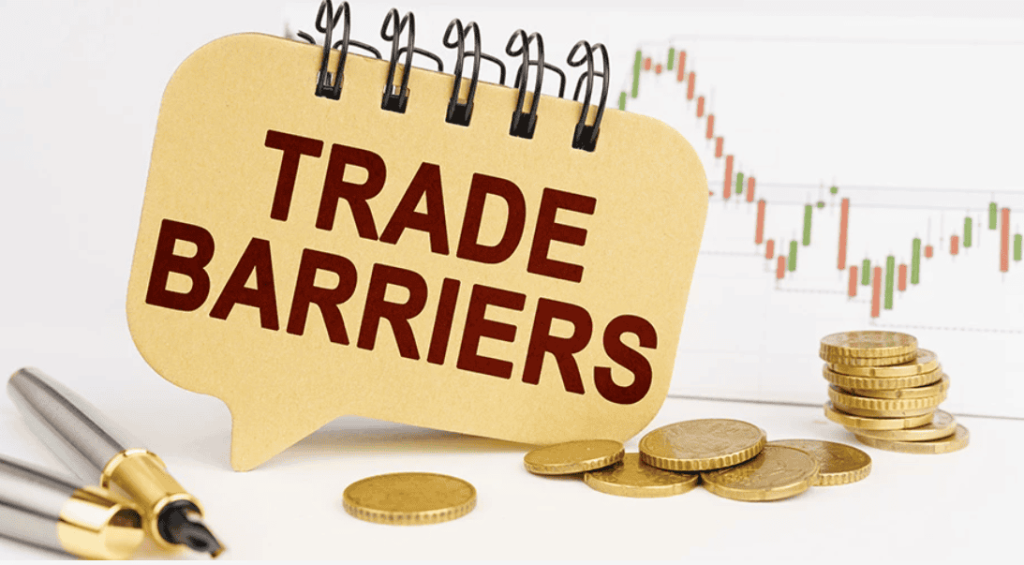 Screenshot 2025-11-12 225355