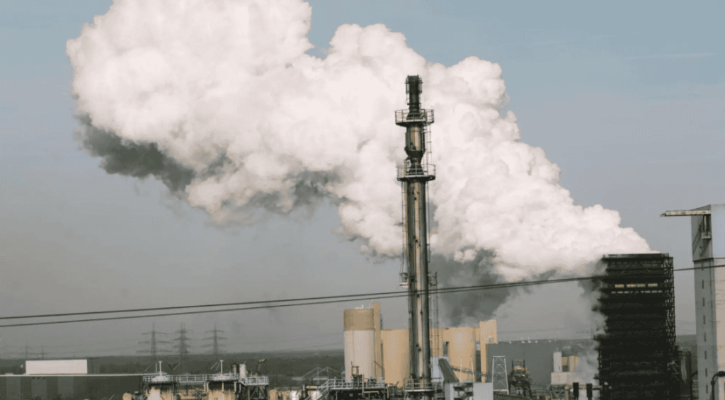 Screenshot 2025-11-24 220541