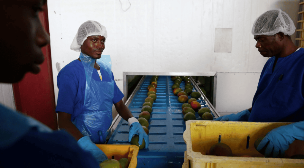 Screenshot 2026-02-05 012956