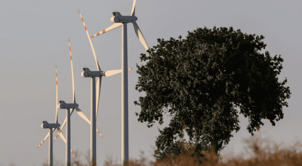 Screenshot 2026-02-24 121438