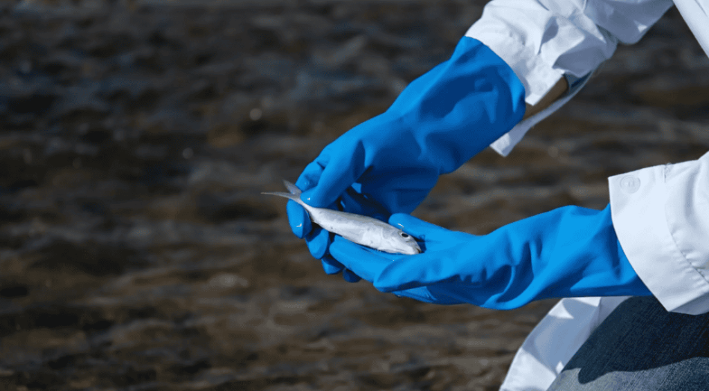 Screenshot 2026-04-24 114847