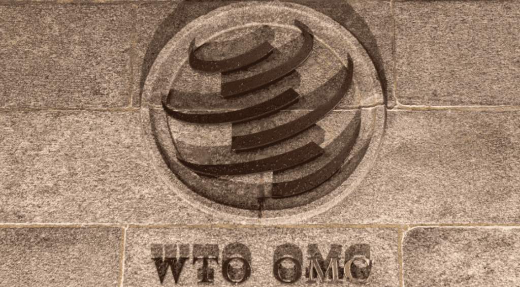 Screenshot 2026-10-18 233834