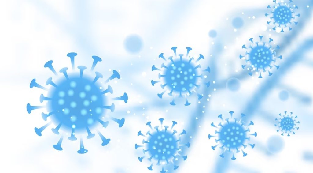 WhatsApp Image 2023-08-07 at 16.54.06