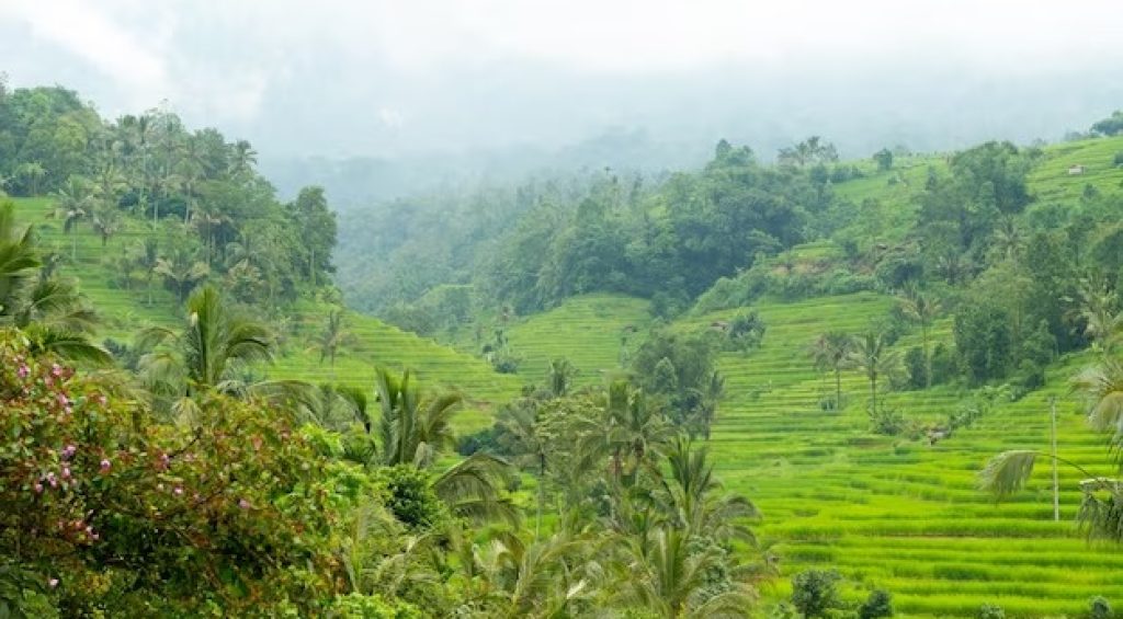 WhatsApp Image 2023-09-22 at 14.33.07